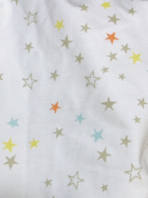 画像: 大人用 おむつカバー パンツタイプ 星柄(水色防水)